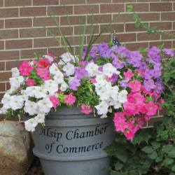 COMMUNITY EXPO AND CRAFT FAIR
