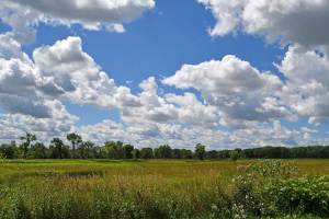 NATURE PLAY DAY: THE PRAIRIE