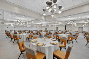 DELTA HOTELS BY MARRIOT - MATTESON