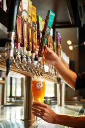 BJ'S RESTAURANT & BREWHOUSE