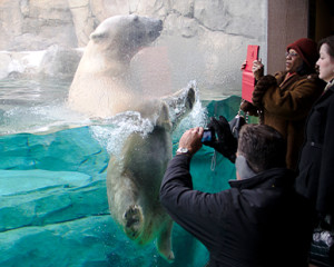 BROOKFIELD ZOO CHICAGO