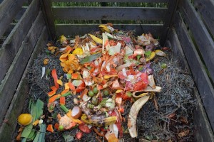 AT HOME COMPOSTING METHODS