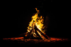 CAROLING CAMPFIRE: MESSENGER WOODS NATURE PRESERVE