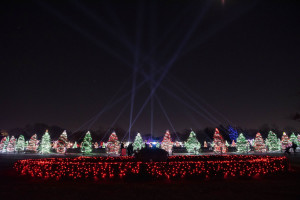 HOLIDAY MAGIC