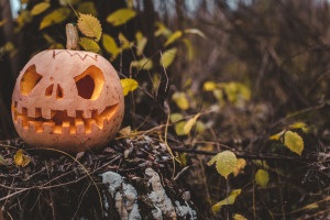 FLASHLIGHT PUMPKIN HUNT