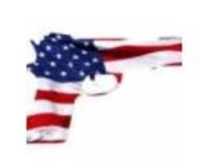 M & J SPORTSMAN GROUP GUN SHOW