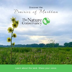 INDIAN BOUNDARY PRAIRIES