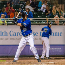 WINDY CITY THUNDERBOLTS BASEBALL