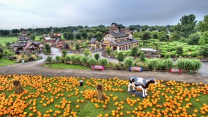 BENGTSON'S PUMPKIN FARM FALLFEST