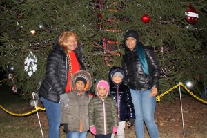 HOLIDAY LIGHTS
