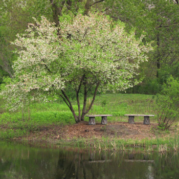 Chicago's North Shore CVB - Welcome - Emily Oaks Nature Center