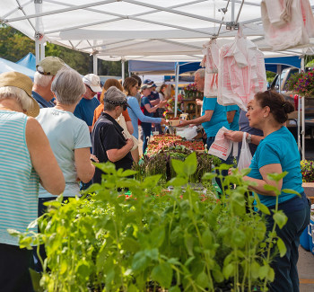 Chicago's North Shore CVB - Welcome - Winnetka Farmers' Market
