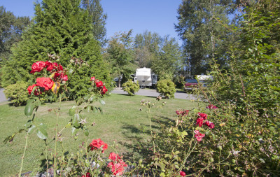 Cottonwood Meadows RV Country Club