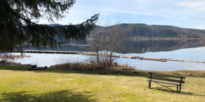 Waterlily Bay Resort