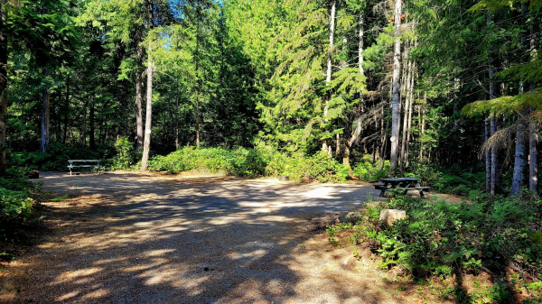 Bayside Campground & RV Park site