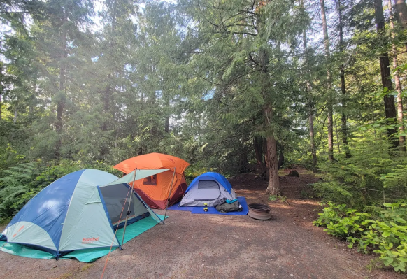 Bayside Campground & RV Park Tenting