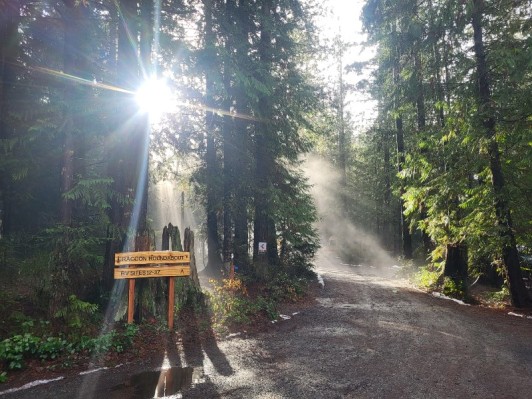Coombs-Campground-Sunlight