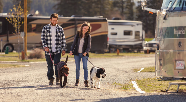 Cranbrook KOA Dog Walking