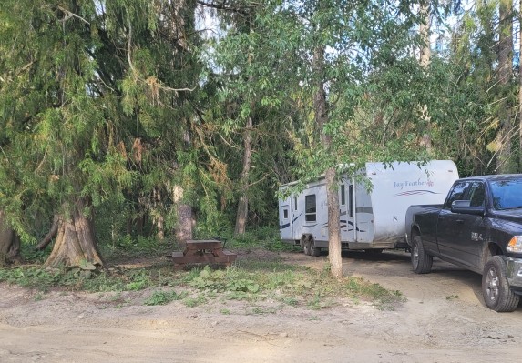Foxtrot-Dairy-Campground-treed-campsite