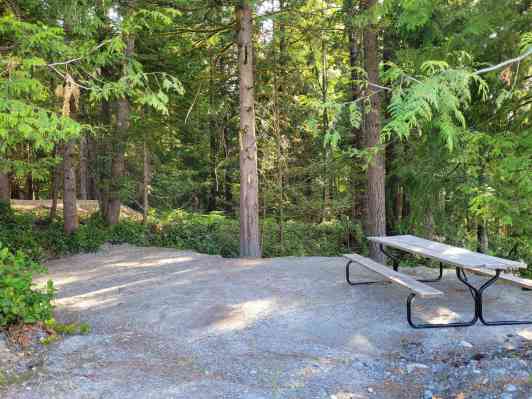 Gibsons-creek-rv-resort-T6
