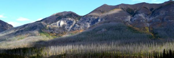 kootenay-national-park-2