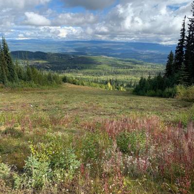 Mt-timothy-recreation-summer-season