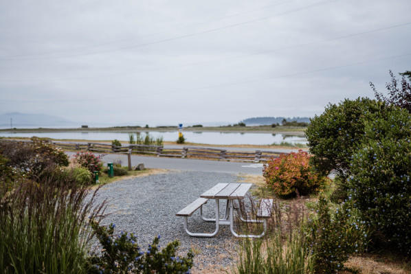 Oceanside | A Parkbridge Camping & RV Resort Picnic Table