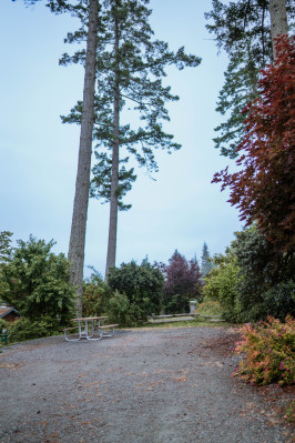 Oceanside | A Parkbridge Camping & RV Resort Trail