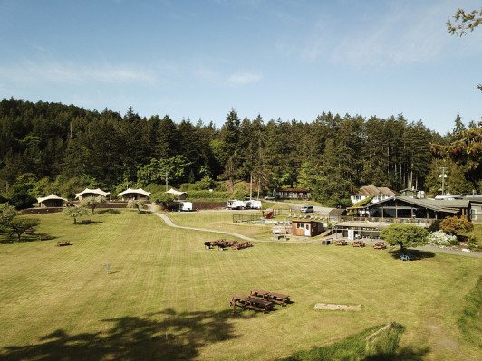 Port-Browning-Mariana-Resort-grass
