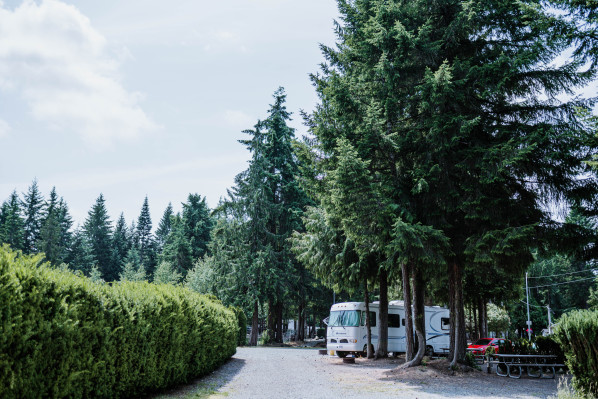Rondalyn Roadway