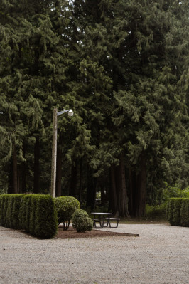 Sandpiper-resort-rv-site