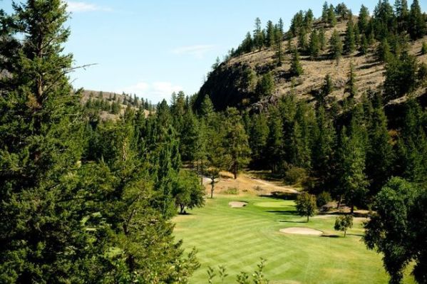 Twin-Lakes-Golf-and-RV-Resort-green
