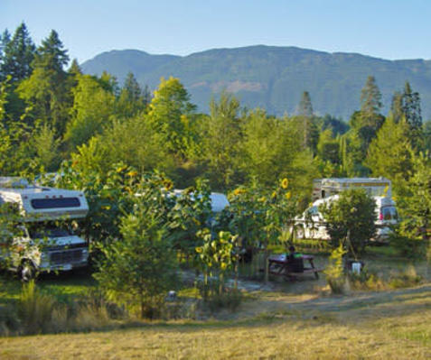 Arrowvale Riverside RV sites firepit