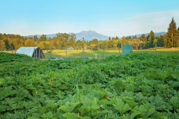 Arrowvale Riverside farm