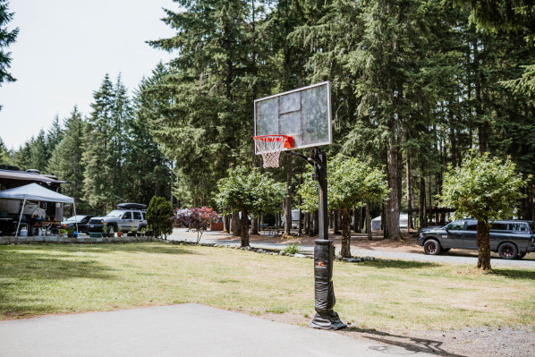 Rondalyn Basketball Hoop