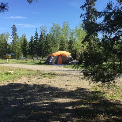 Blue Cedars tenting site