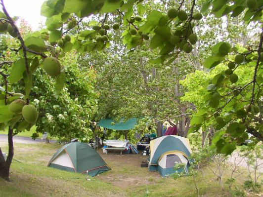Camp Along assorted tenting sites