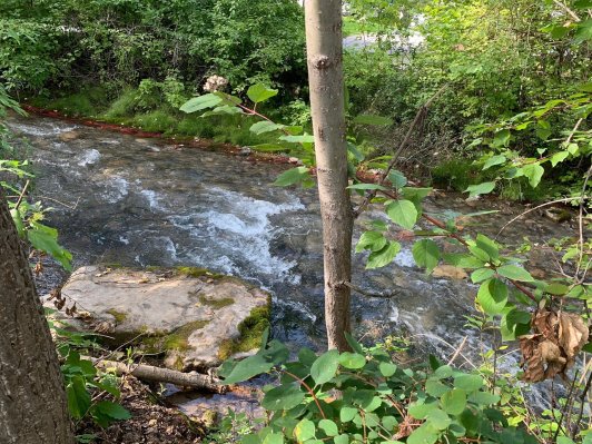 Canyon RV Resort water