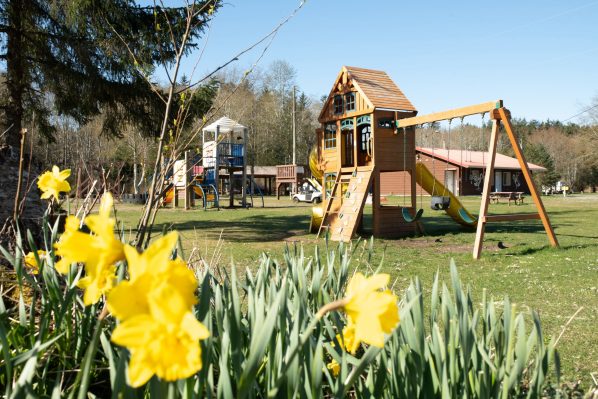 Cluxewe Resort playground