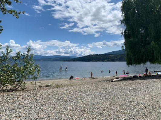 Cottonwood Cove Resort Beach