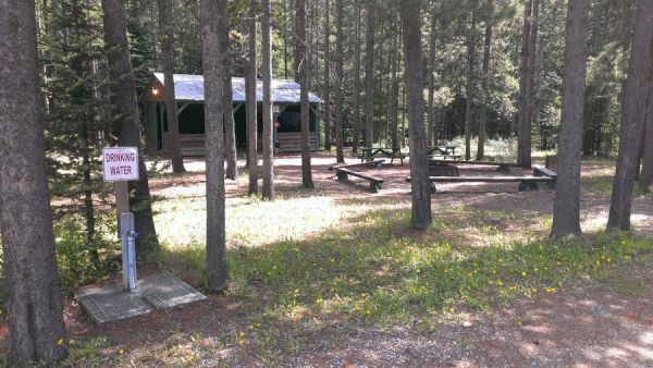 Elkford Municipal Campground Forest