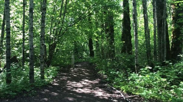 Ferry Island Campground Terrace Trails