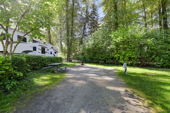 Pathfinder-fort-camping-2025-kinfisher-back-in-site