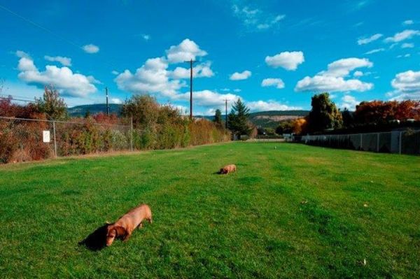 Holiday Park RV & Condo Resort Dog Park