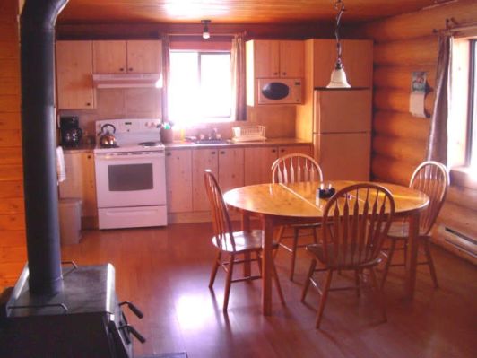Loon Bay Resort on Sheridan Lake kitchen