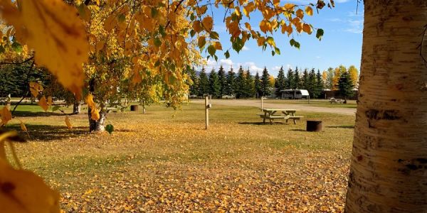 Mackenzie Municipal RV Park picnic tables
