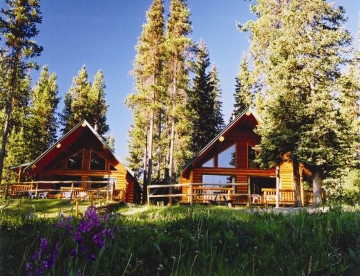 Mile High Resort cabins day
