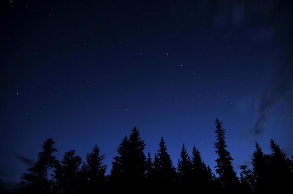 Moosehaven Resort night sky