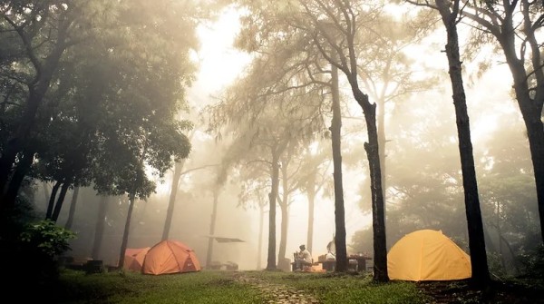 Nakusp Municipal Campground tents