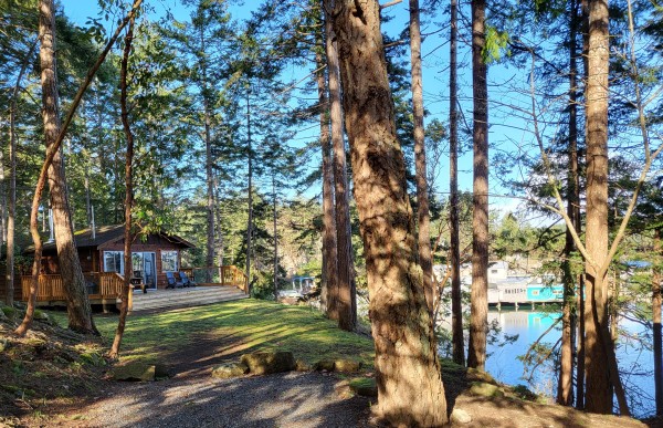 pages-resort-marina-trees